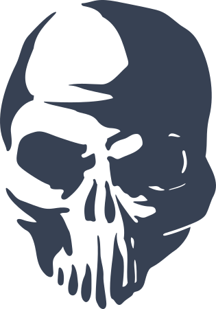 Skull Skeleton Head
