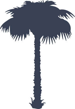 Pretty Palm Tree Sticker