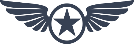 Star Inside Circle With Wings Sticker