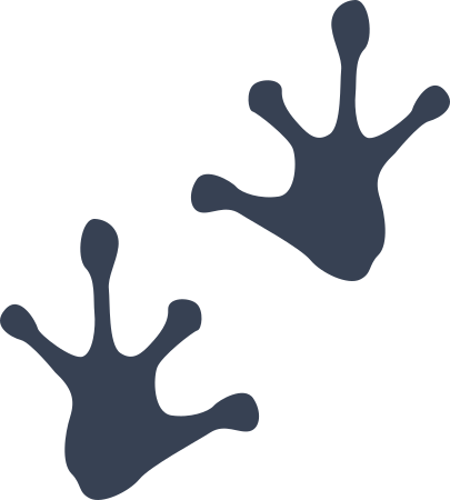 Frog Footprints Sticker