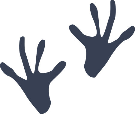 Two Frog Footprints Sticker