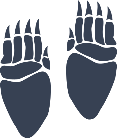Bear Paw Prints With Long Toes Sticker