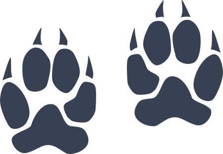 Wildcat Paw Prints Sticker