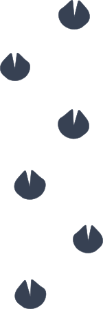 Giraffe Footprints Sticker