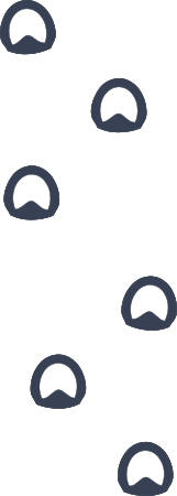 Multiple Horse Footprints Sticker