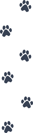 Cat Paw Prints Sticker
