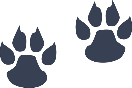 Little Wildcat Paw Prints Sticker