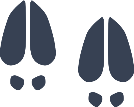 Deer Footprints Sticker
