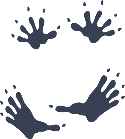 Opossum Paw Prints Sticker
