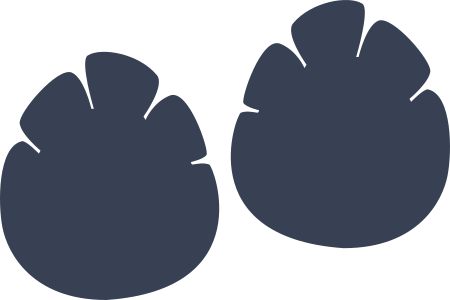 Elephant Prints Sticker