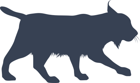 Baby Lion Stalking Sticker