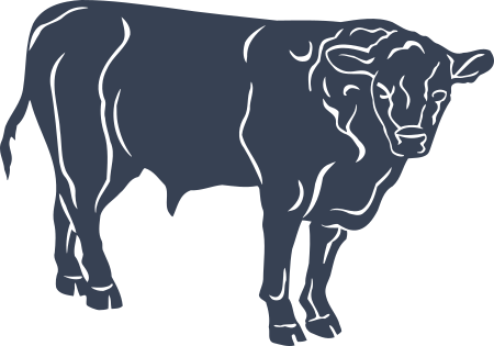 Bull Decal