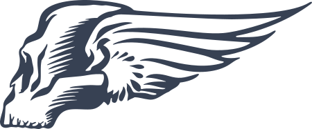 Skull w/ Wings Decal