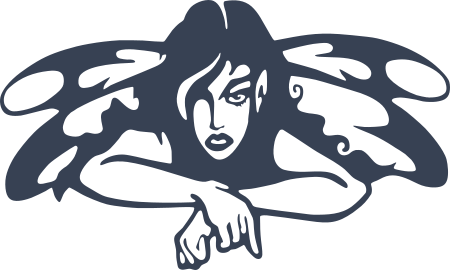 Fairy Decal