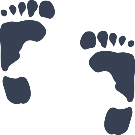 Footprints Decal