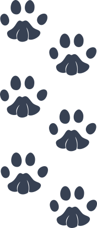 Adorable Paw Prints Sticker