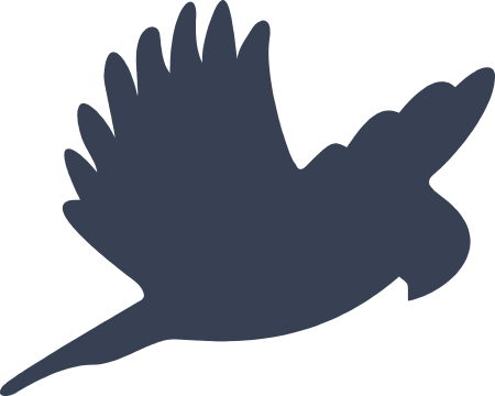 Bird Decal