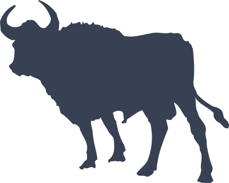 Bull Decal