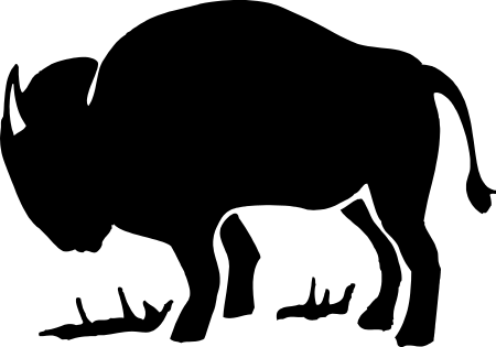 Buffalo Decal