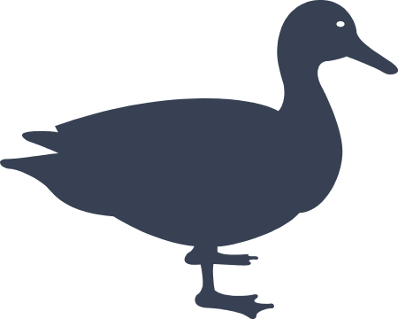 Duck Bird Decal
