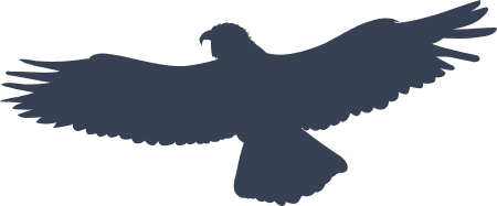 Eagle Bird Decal