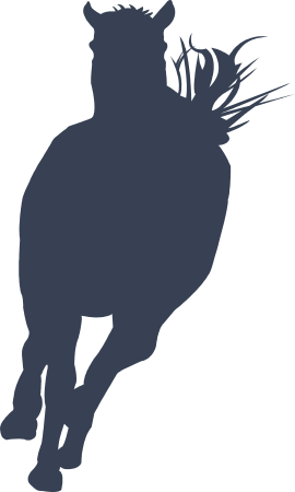 Horse Decal
