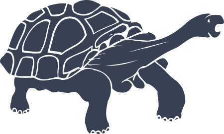 Turtle Decal