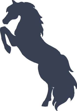 Horse Decal