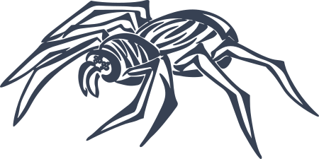 Spider Decal