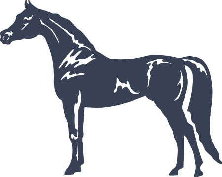 Horse Decal - Arabian