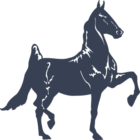 Horse Decal - American Saddle Breed