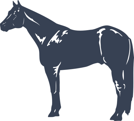 Horse Decal - Quarter Horse