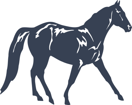 Horse Decal - Missouri Fox Trotter
