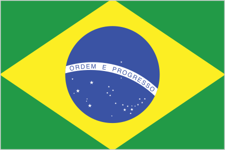 Brazil Country Flag Sticker
