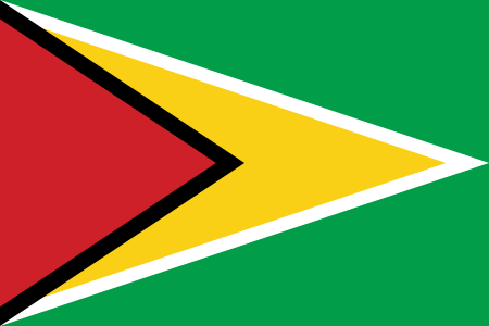 Guyana Country Flag Sticker