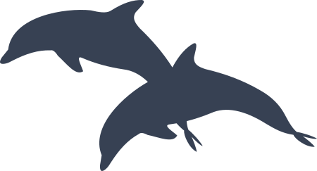 Two Dolphins Jumping Sticker