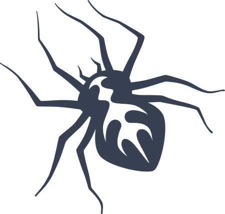 Spider Decal