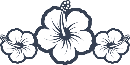 Three Hibiscus Flowers Border Sticker