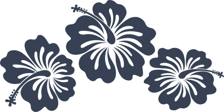 Three Hibiscus Flowers Corner Sticker