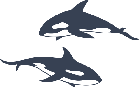Two Whales Sticker
