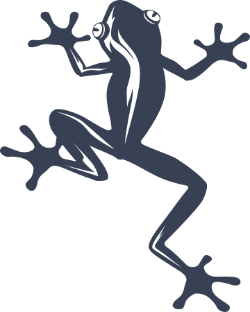 Frog With Stripe Sticker