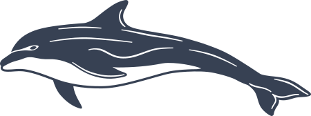 Detailed Dolphin Sticker