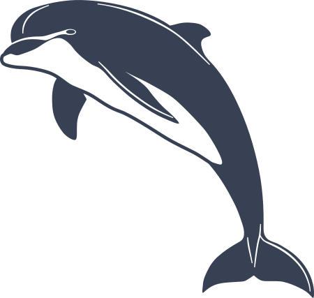 Amazing Dolphin Sticker