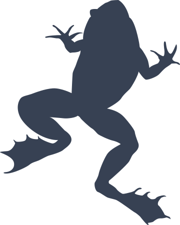 Cool Frog Sticker