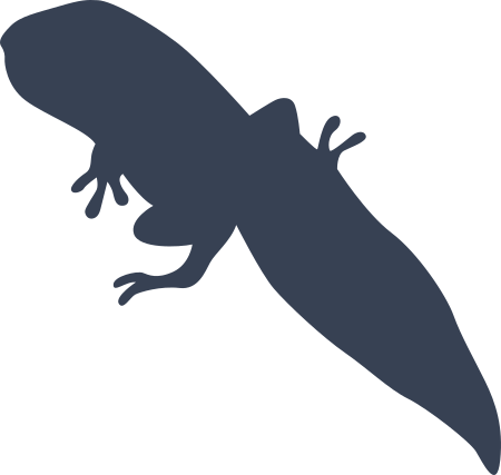 Frog With Tail Sticker