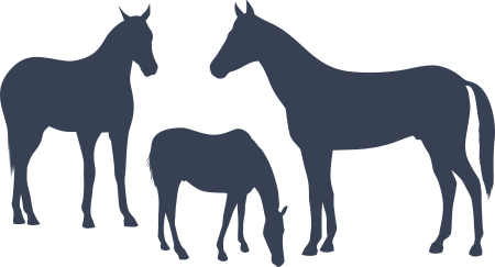 Horses Sticker Decal