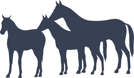 Horses Sticker Decal