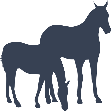 Horses Sticker Decal