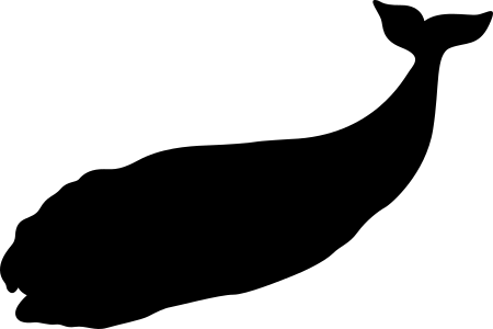 Northern Right Whale Sticker