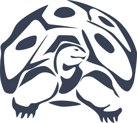 Turtle Sticker Decal